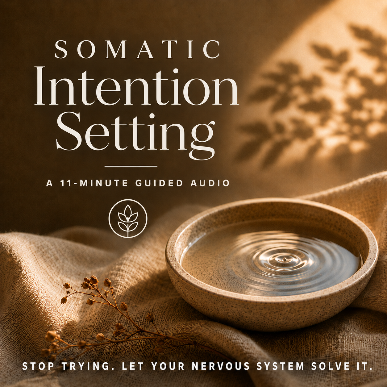 Somatic Intention Setting, an 11-minute guided audio